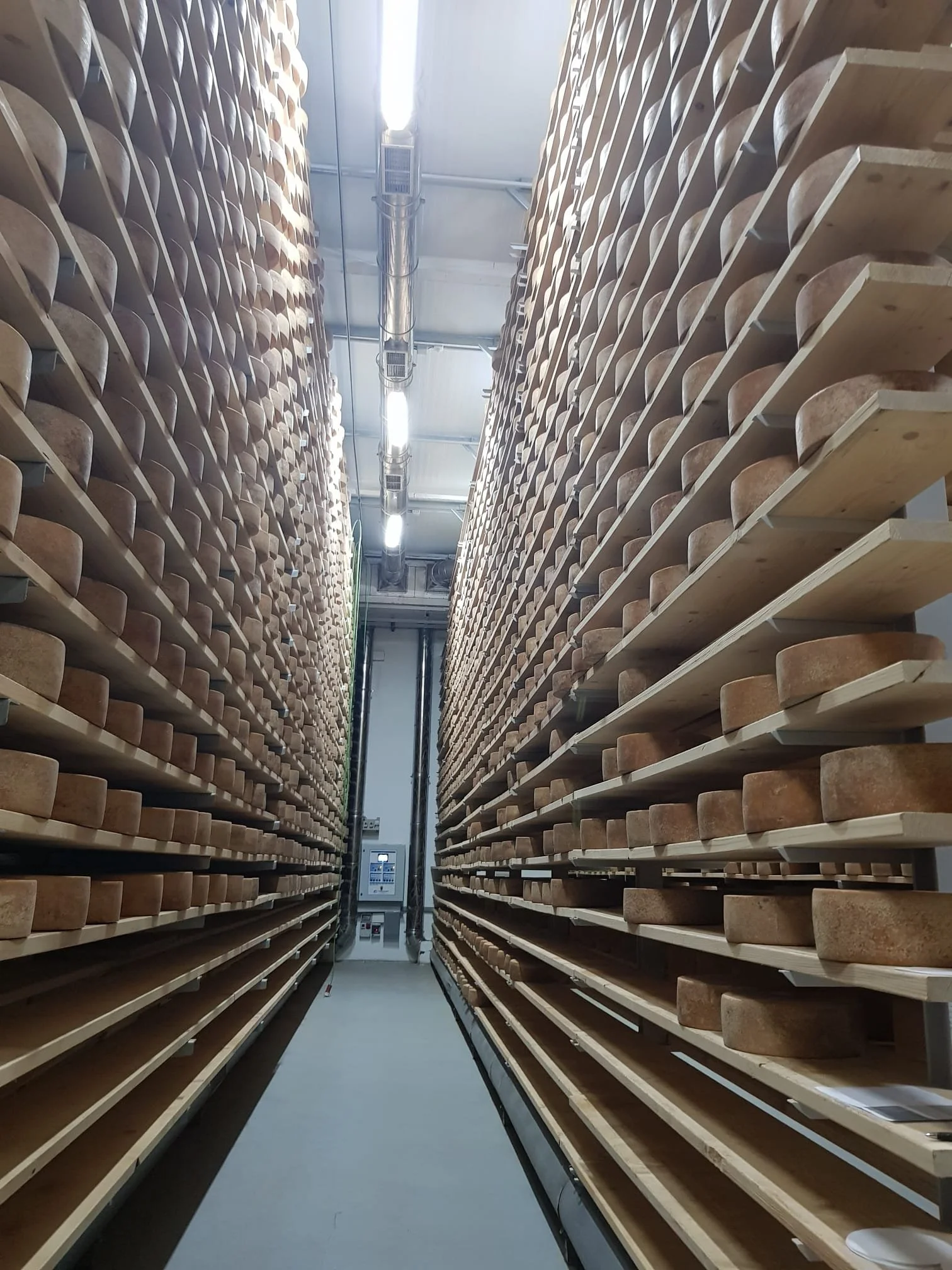 Sabrosos Habituales: Queserías nuevas y emergentes en Galicia