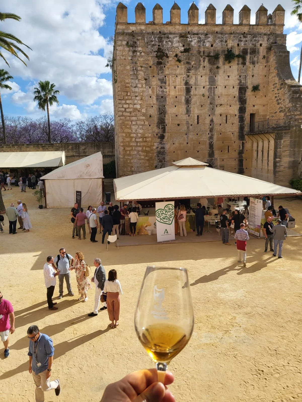 De Rutas y Vinos: Jerez