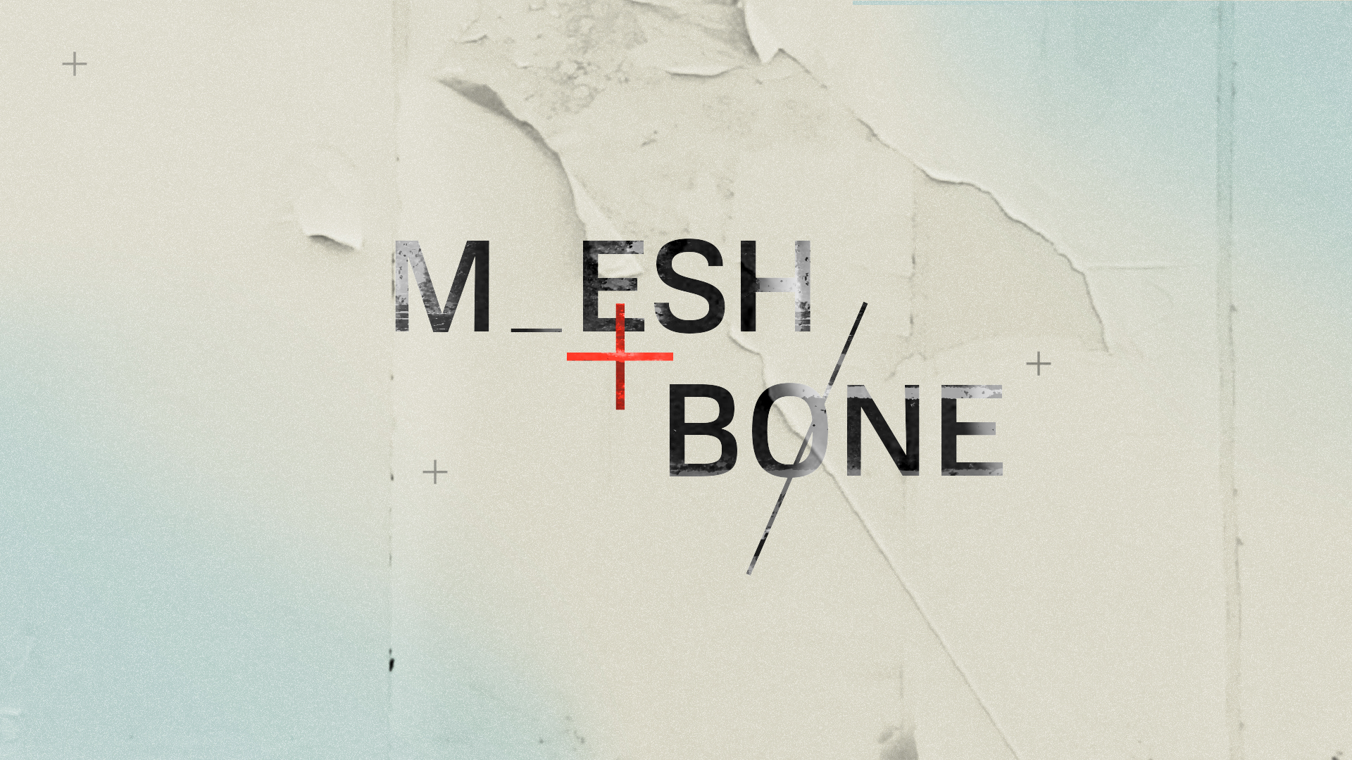 04_Mesh And Bone Logo b.jpg
