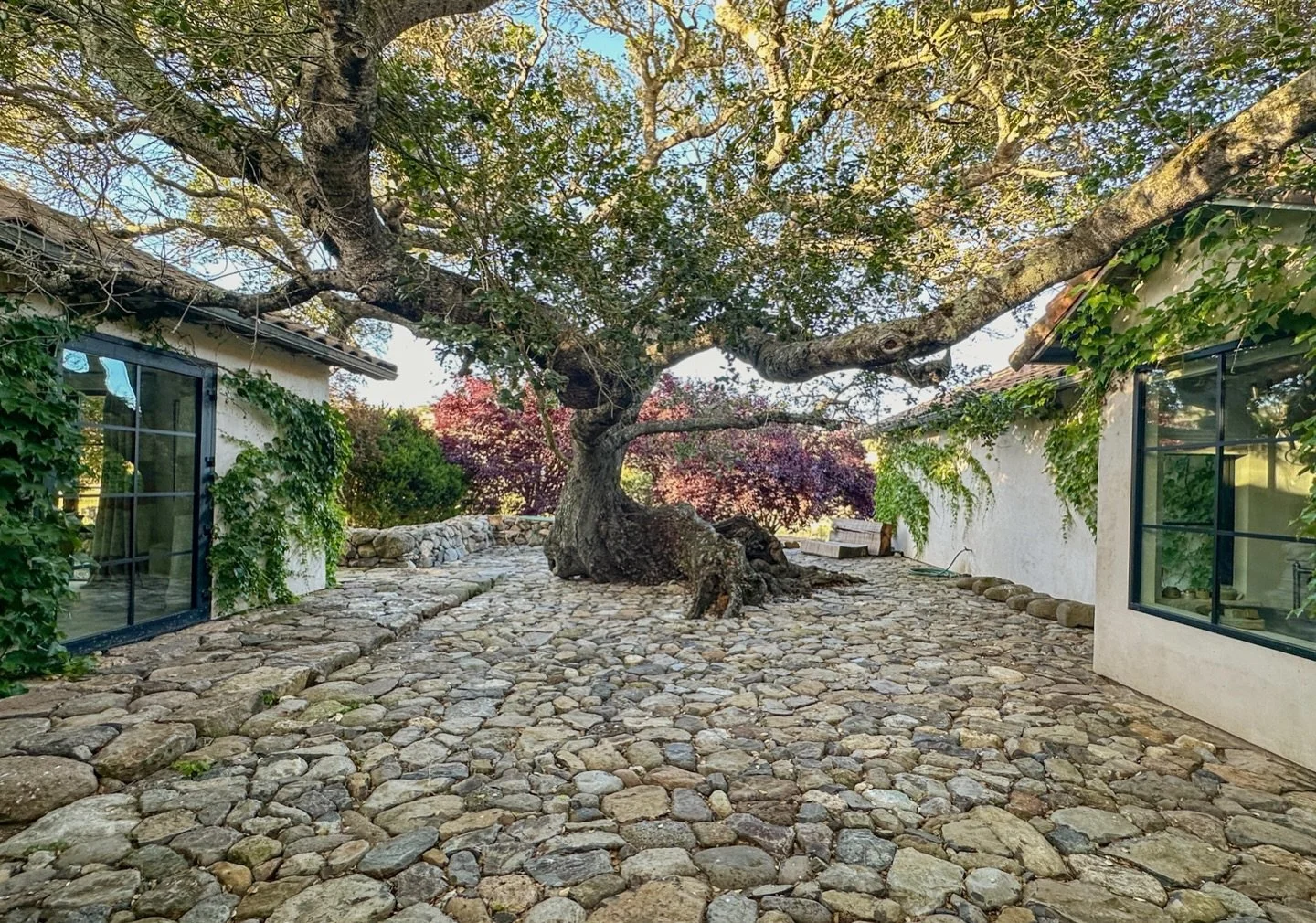 The closest we&rsquo;ve come to being in Wonderland. 
&bull;
&bull;
&bull; 
&bull;
&bull;#leflerlocations #locationscouting #location #locationscout #filminglocation #filmset #setlife #onset #onlocation #productionlife #filmproduction #production #fi