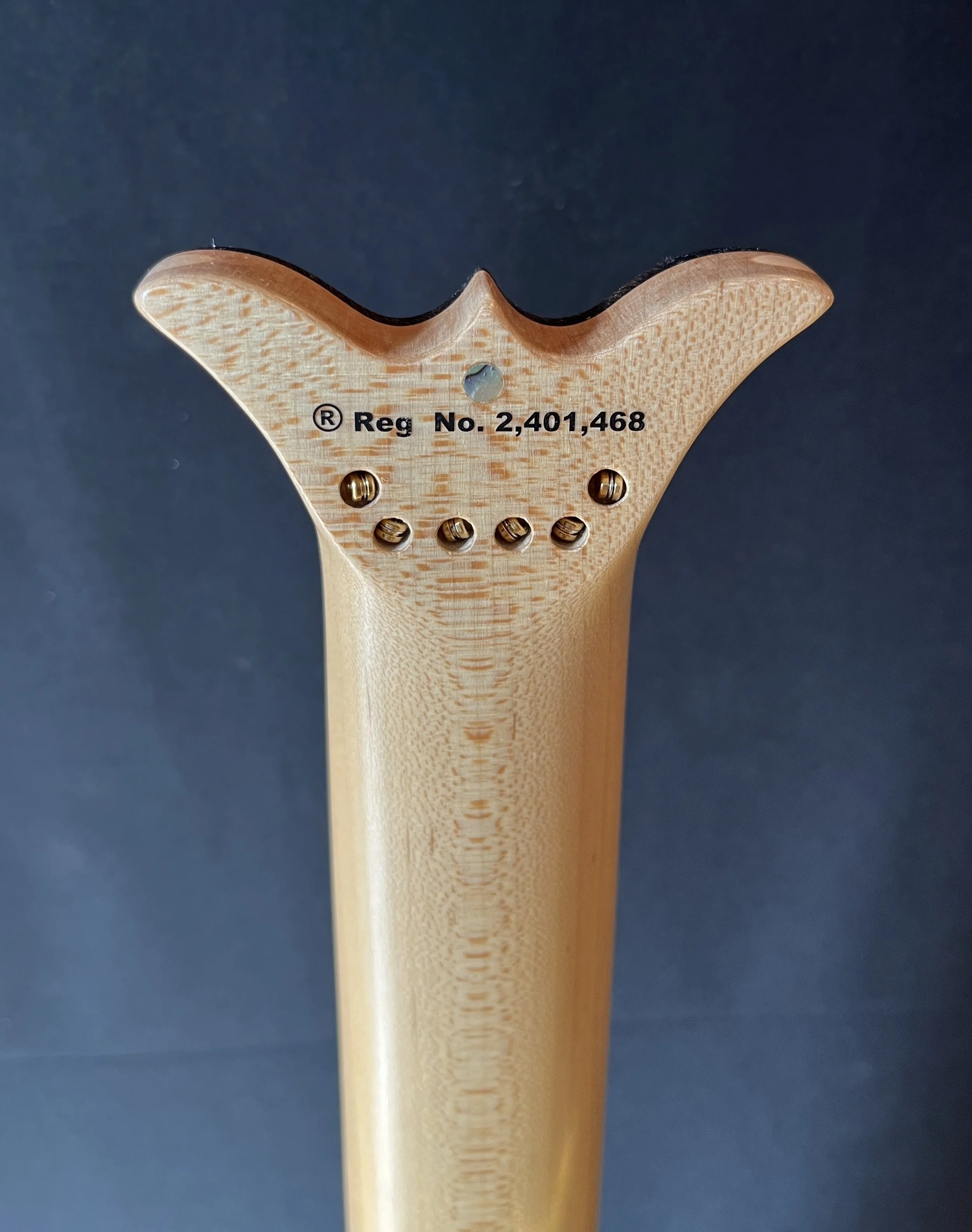 5340 TE-3 head back.JPG