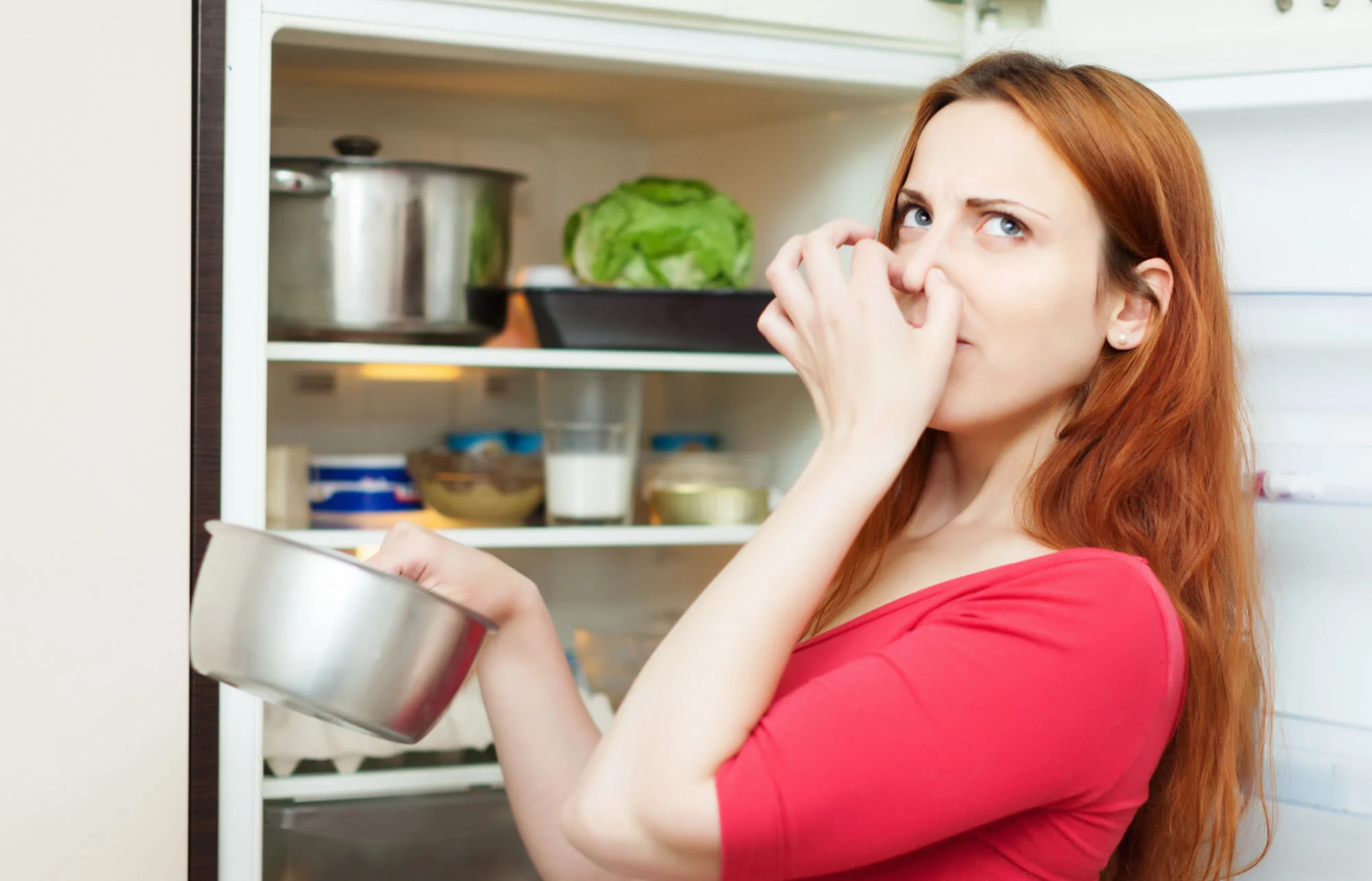 What’s Lurking Inside Your Fridge?