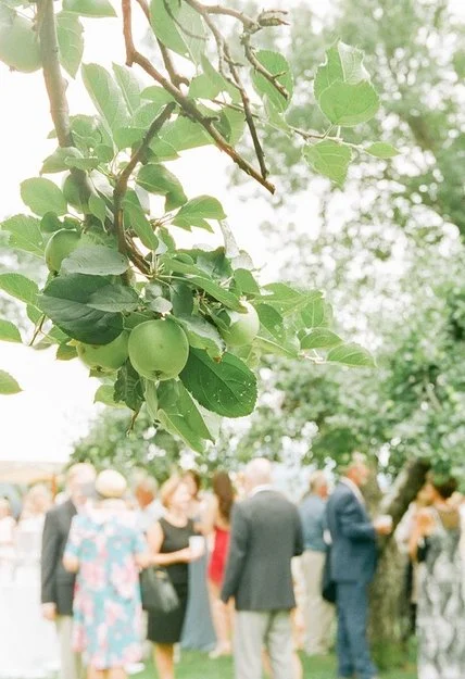 DonnaPeter_Wedding_Boscobel_2017
