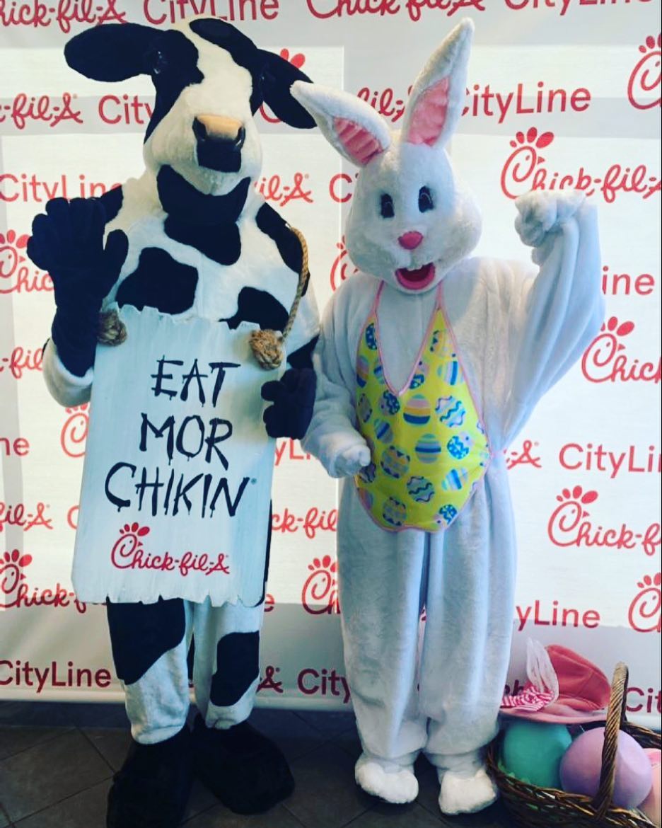 events bunny cow.jpg