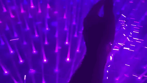 giphy-3.gif