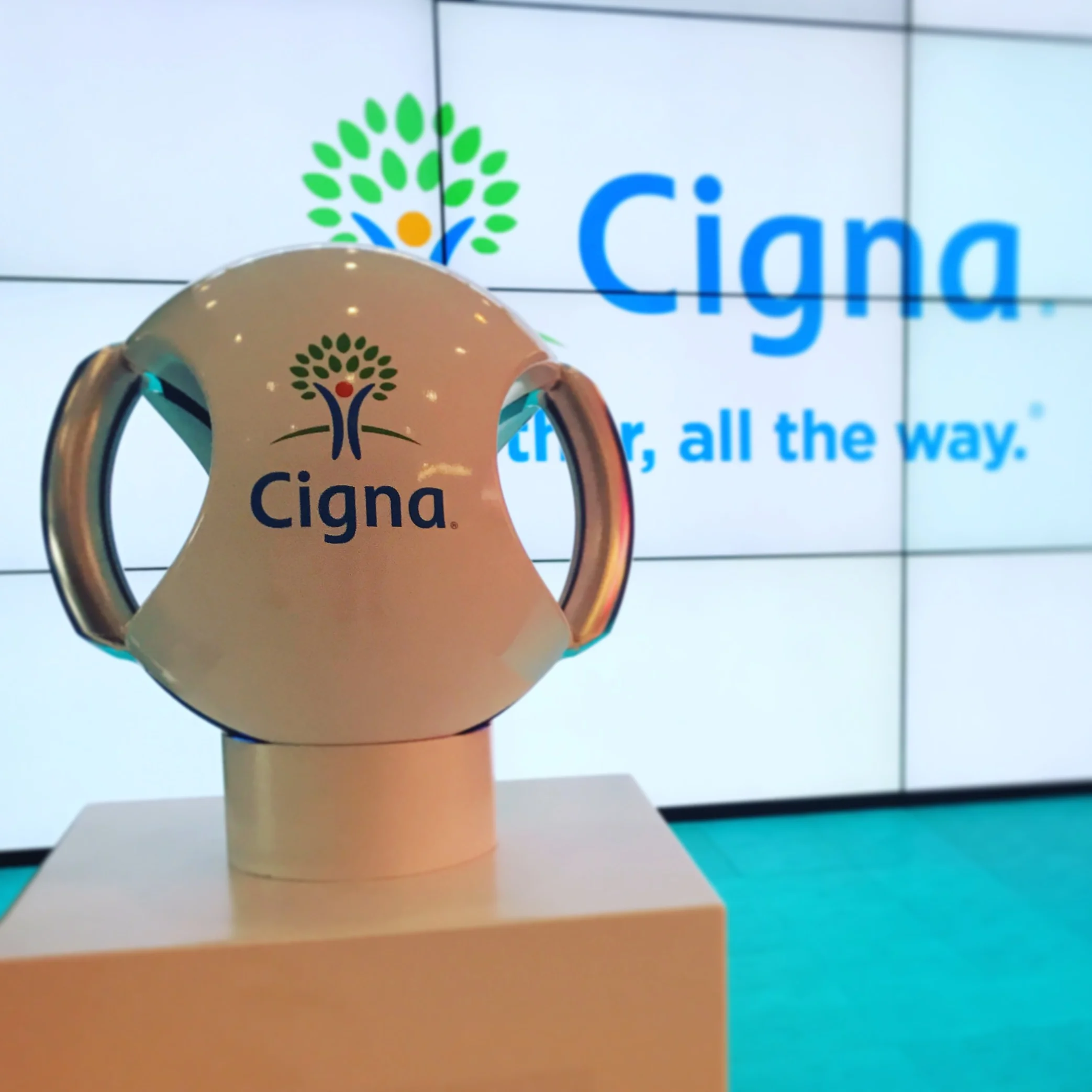 Cigna3.JPG