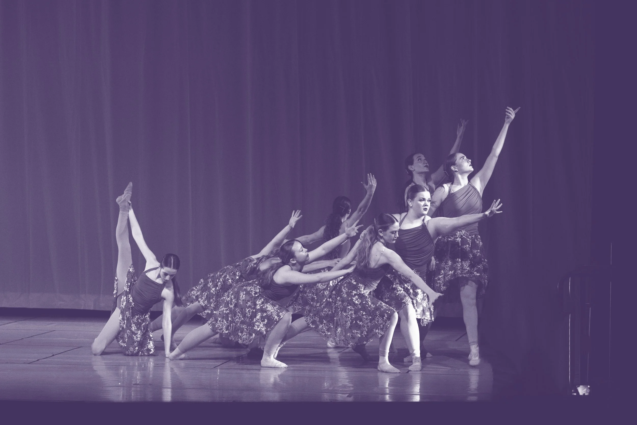 Spring Recital for Divisions 2-D 
