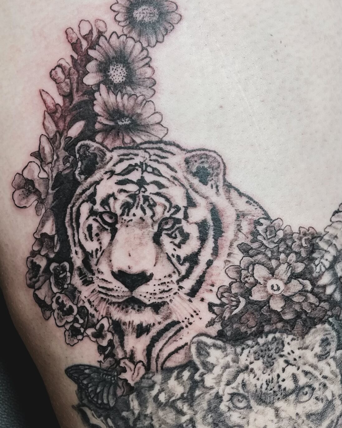 Beautiful tiger by @mortalcoiltattoo! 🐅🖤

#tattoo #tattoos #art #bayarea  #bayareaartists #bayareatattoos #oakland #oaklandartists #oaklandtattooartist #bayareatattoo #tiger #tigertattoo #realism #realismtattoo #studionoir