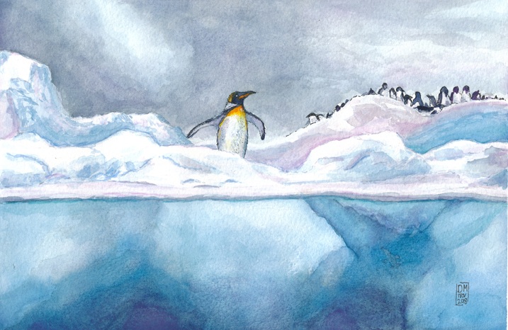 Penguin arrival