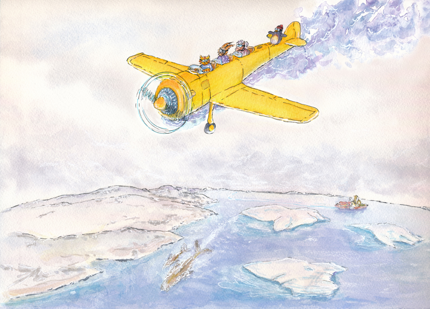 Arctic Flight