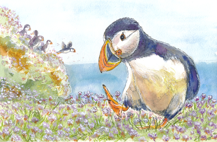 Puffin in the flowers