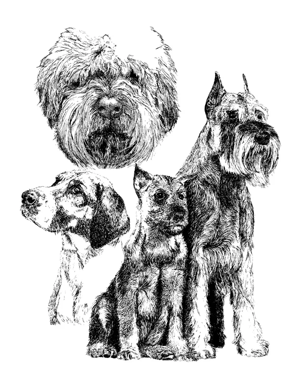 Dogs