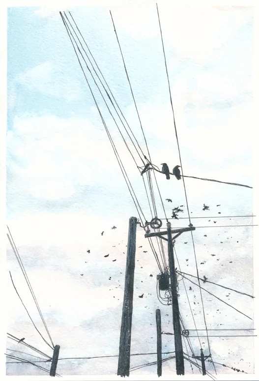 Birds on a Wire