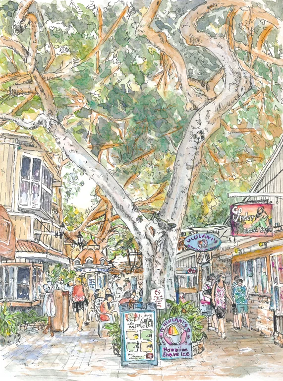 Maui Market