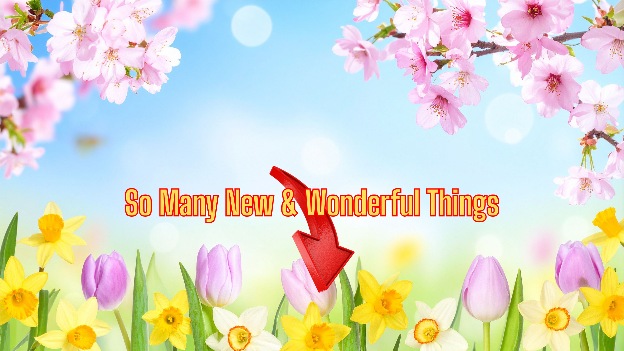 SALE ENDING SOON.png