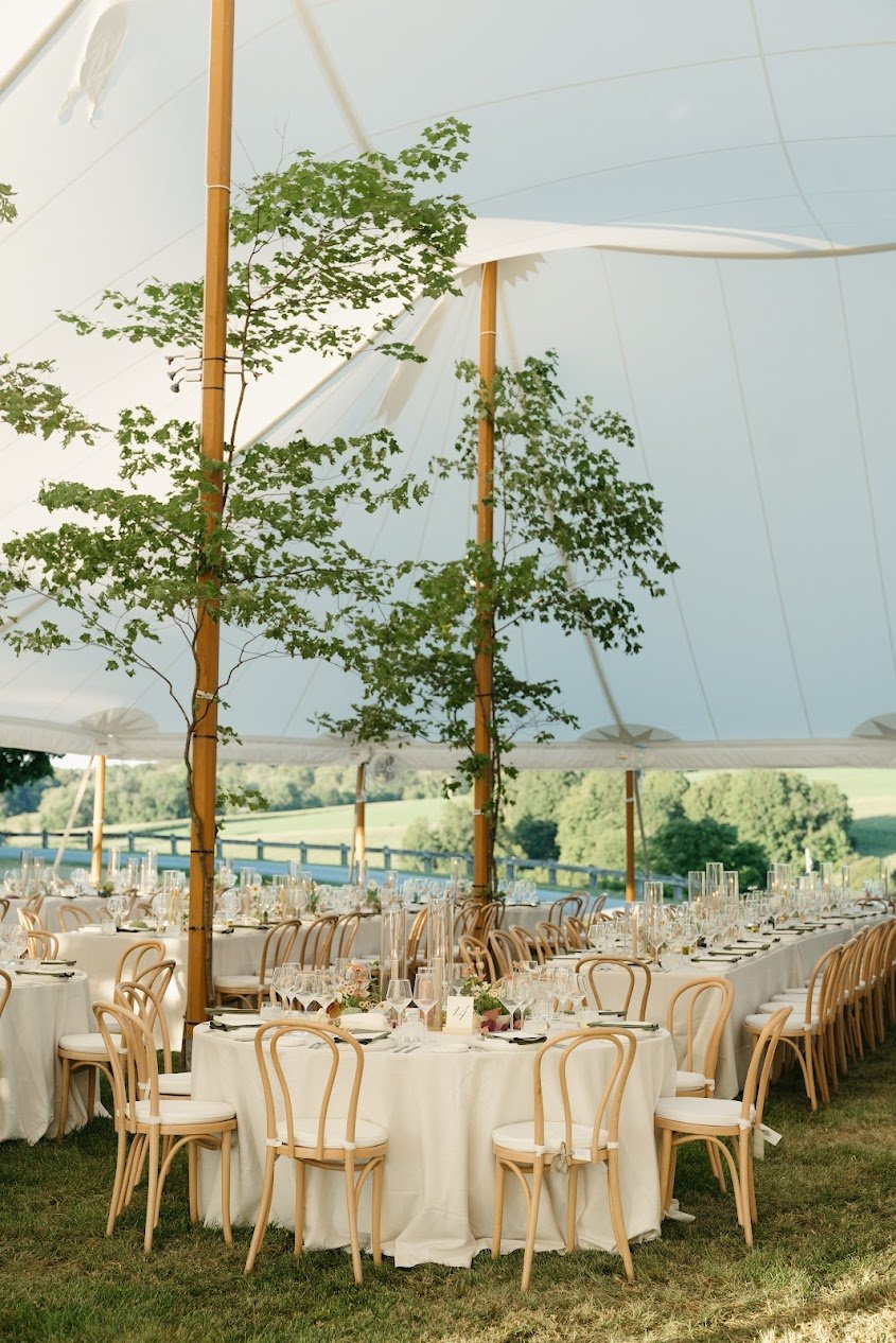 Elegant outdoor event setup under a white tent with long tables, surrounded by chairs, and decorated for a celebration or wedding with trees and scenic landscape in the background.