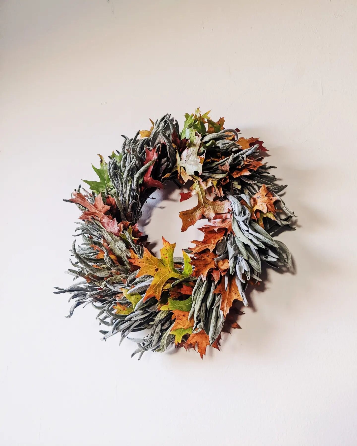 IIIIIIT'S TIIIIIME!!!

You've been asking!

🔽🔽🔽🔽🔽🔽
Wreath shop is online now! 🧑&zwj;💻
🔼🔼🔼🔼🔼🔼

Tons of styles being uploaded all the time ✨ most are uniquely one of a kind! Find your favorite 💕

New this year: Dried Herb Wreaths (featur