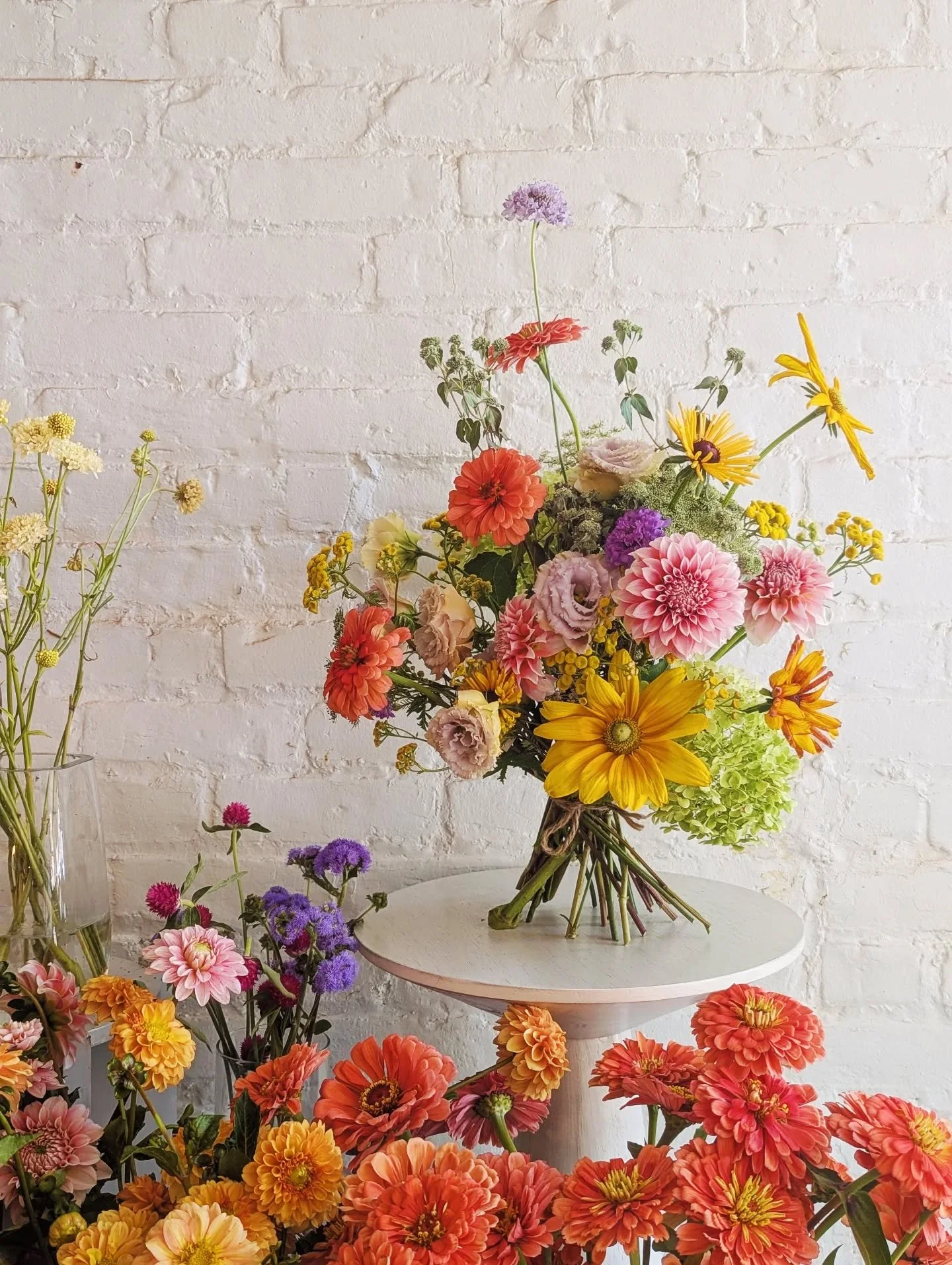 Fresh new pics for the site with summer's finest ❤️&zwj;🔥 It's finally DAHLIA SZN kiddos!