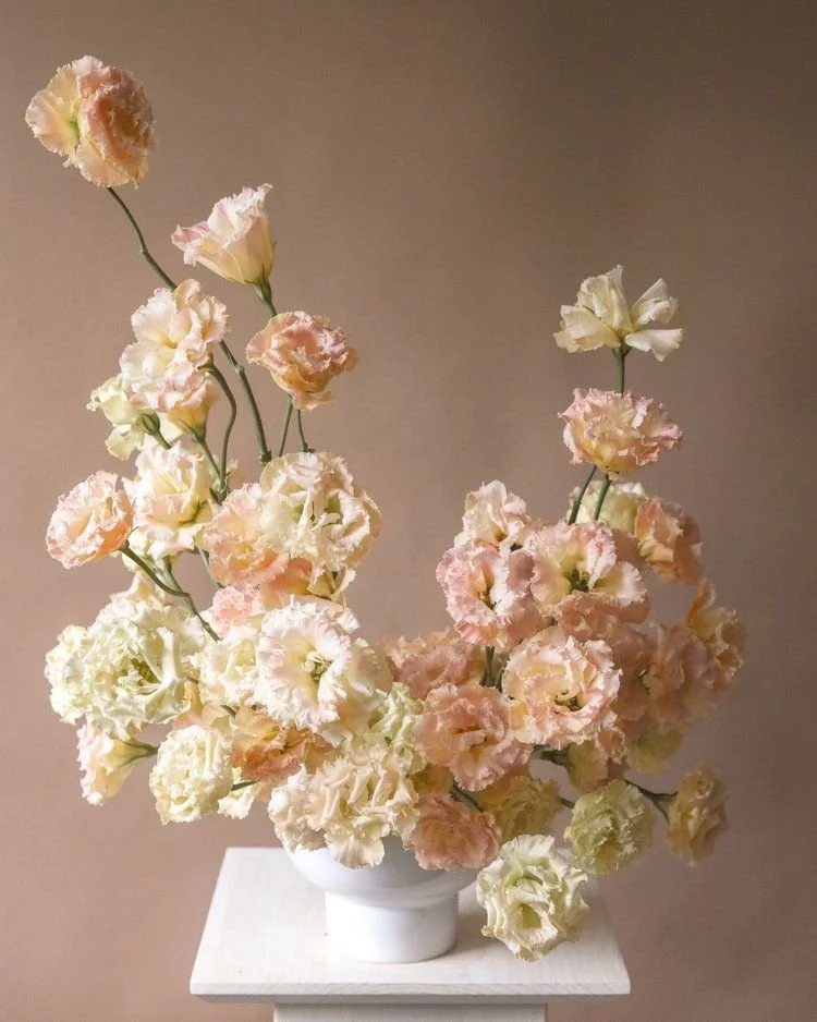 iris & fig.jpg