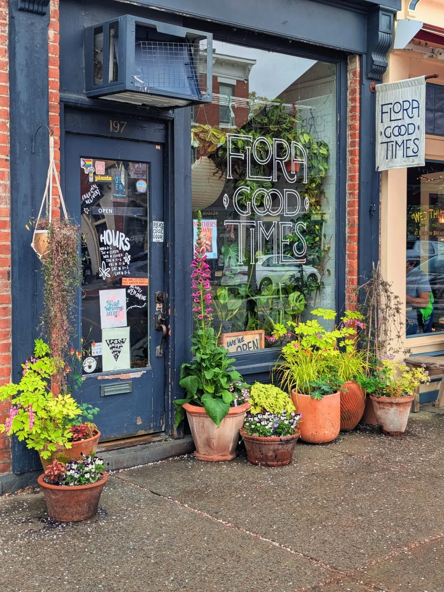 I love small business. It's all heart. It's the best in people. I've met the greatest people through this work. I am eternally grateful.

Thank you to my team!!!! The stars of my life 💫 you make it possible! You listen to my ramblings! My wild, word