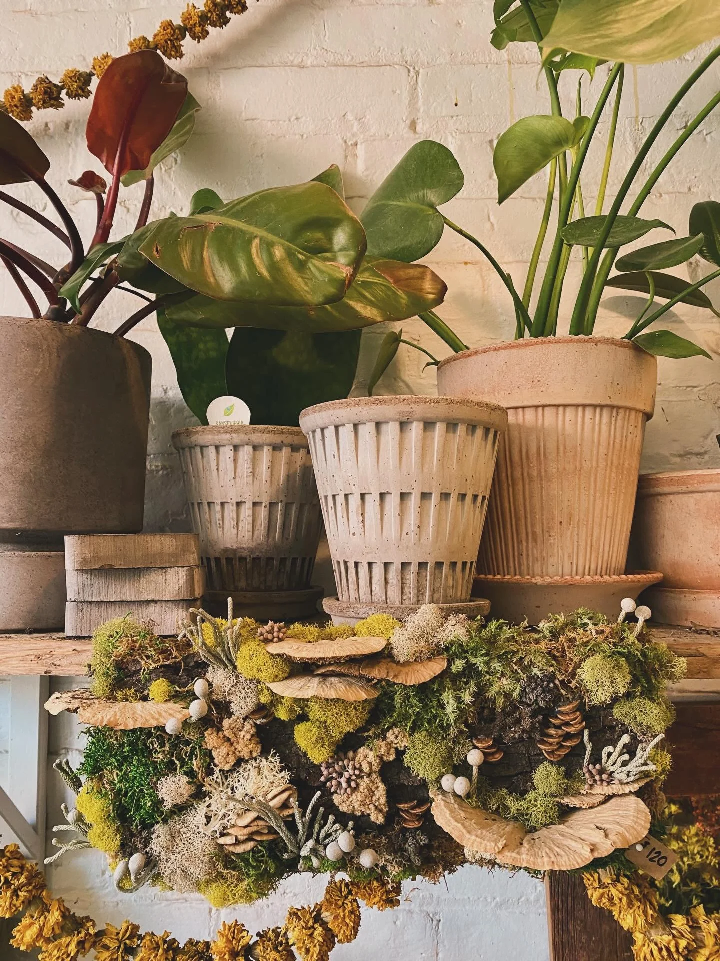 Some new things that are making us tippy tap with excitement 🎀 

Sweetie little vases and pots! Very cute ornaments! Preserved moss wreaths! Little Worlds! All da Flora goodness!

We&rsquo;re still filling up our shelves for the holidays all the tim
