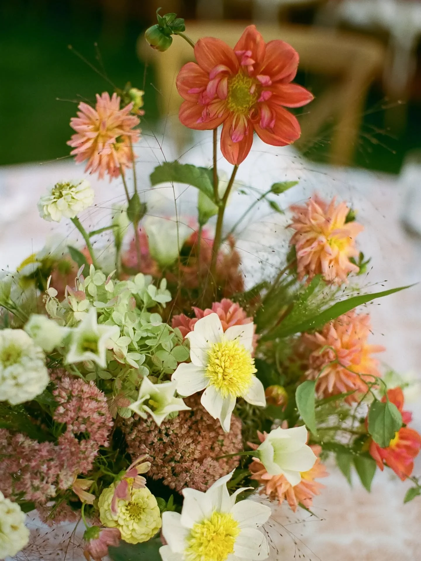 I love the reflection of the "off season" (quotations needed because we're never really off! The wedding rhythm just sloooooows down)

We get to look through the gorgeous albums of work of the work we made this season. This year I look back