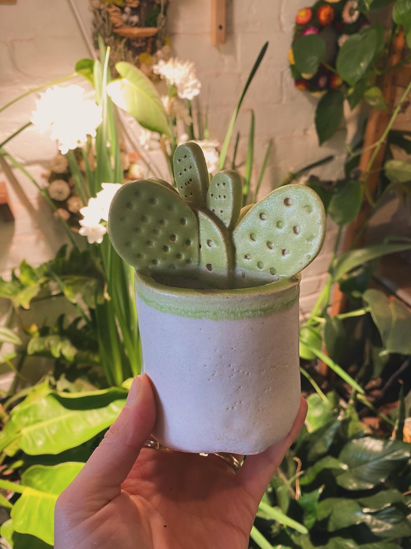 Low effort, high green energy for the chronic plant oopsies. Everyone deserves a plant era, even the black thumbed 🖤🌱

The No Care Cactus is handmade by Jiki Jaku in Barcelona and it can go anywhere and everywhere, with no worry of water or sun. 

