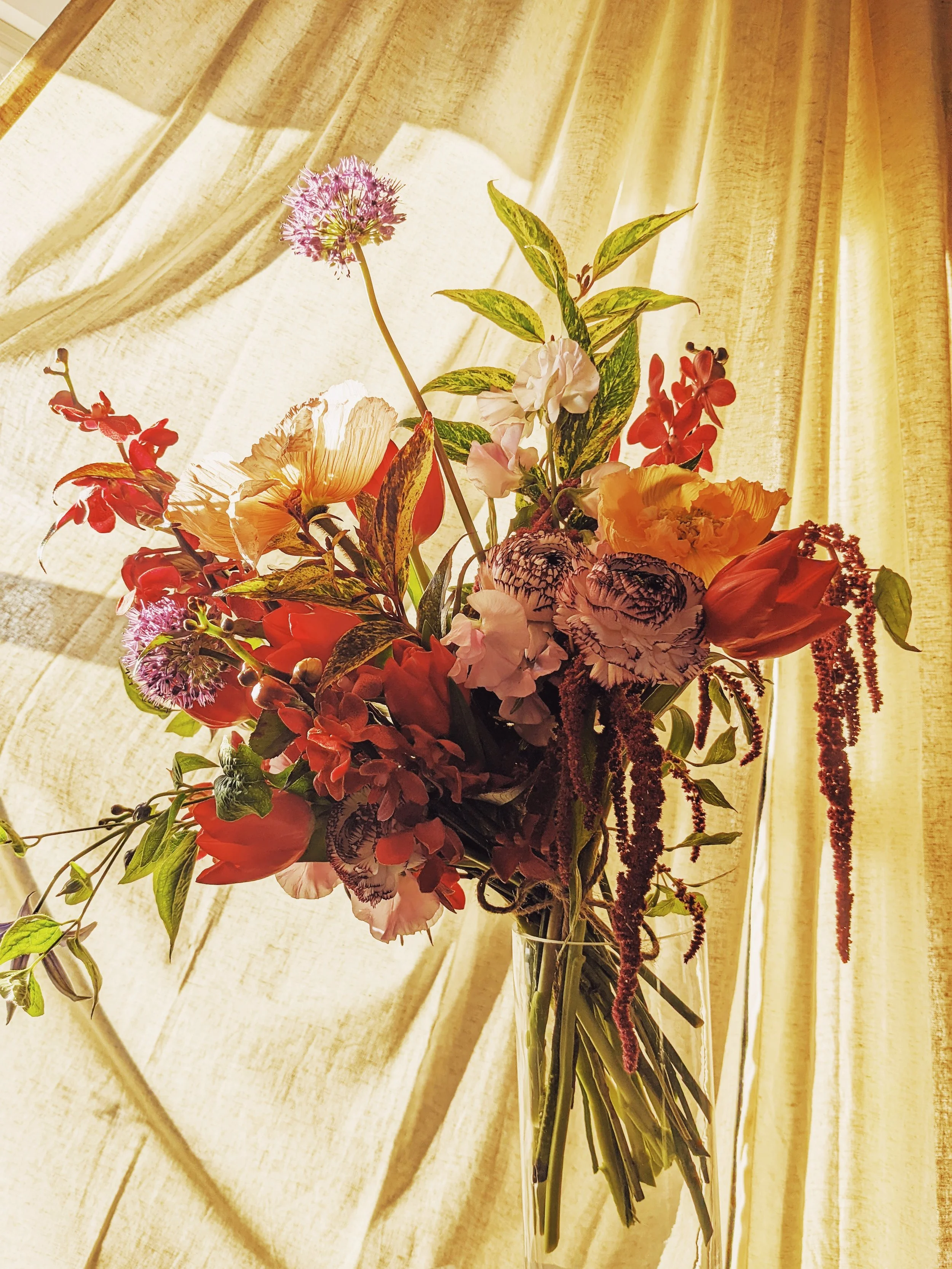 The January Edit: What’s Blooming Now