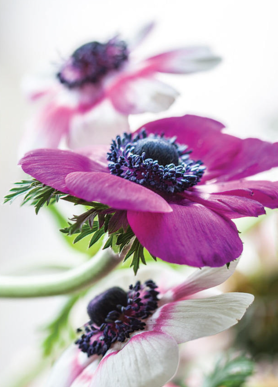 Screenshot 2025-12-29 121046.png