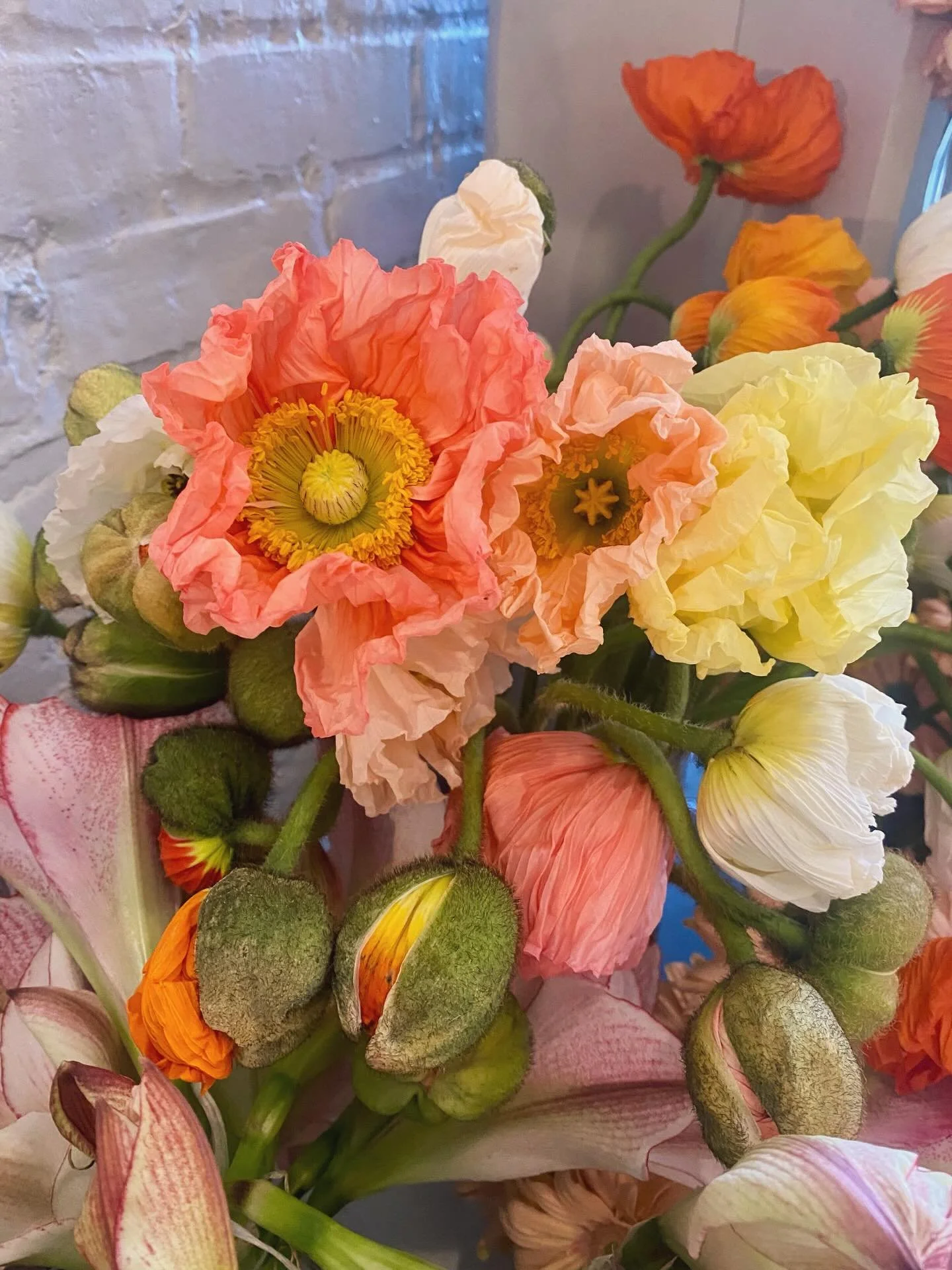 Taking it slow and cozy this Capricorn season, but making it colorful and filled with whimsy. Fresh blooms and cute new vases just dropped 🐌 step into our safe space 🫂.