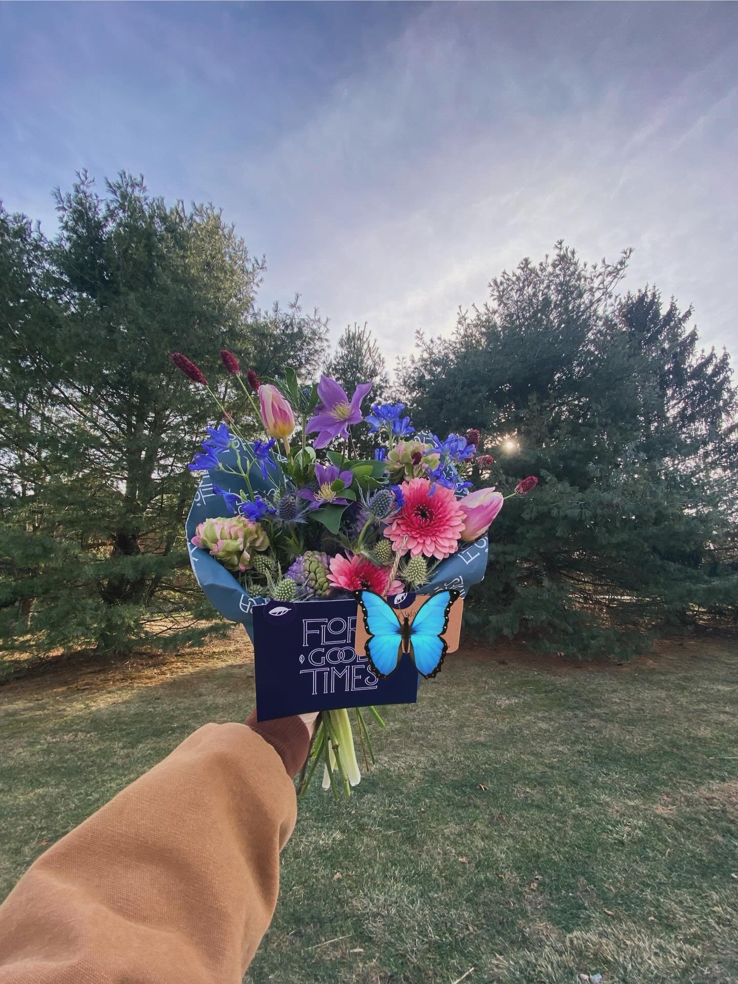 Found some sunshine peepin&rsquo; through the trees. We&rsquo;re open all weekend! But closed this Monday 1/19, for some shop lovin&rsquo; and refresh. Don&rsquo;t despair! We will still be available for delivery! 💫