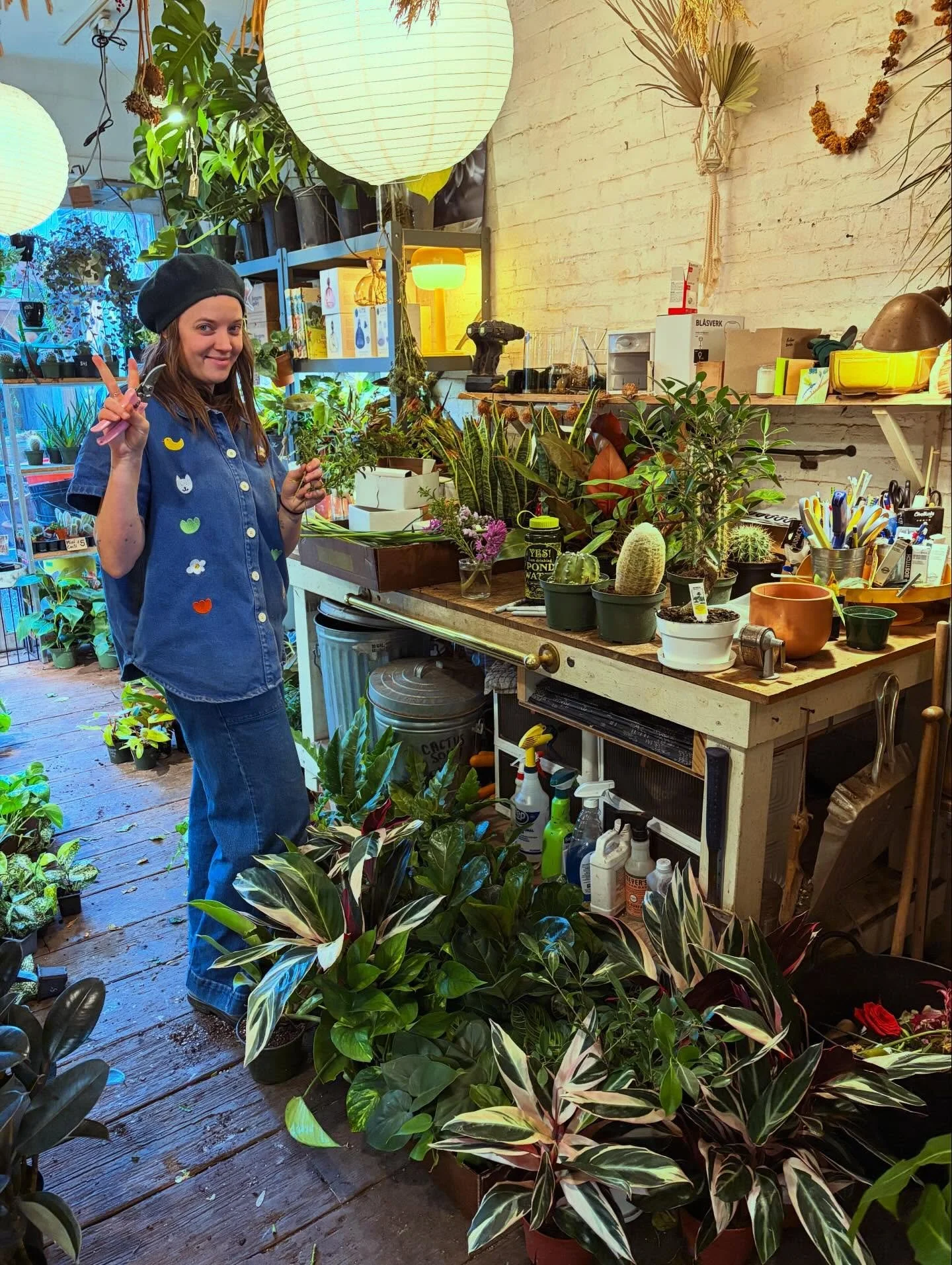 Plants! So many plants! New plants have arrived and we are bursting at the seams! Come see us! 🌱🐍❇️🐢🍀