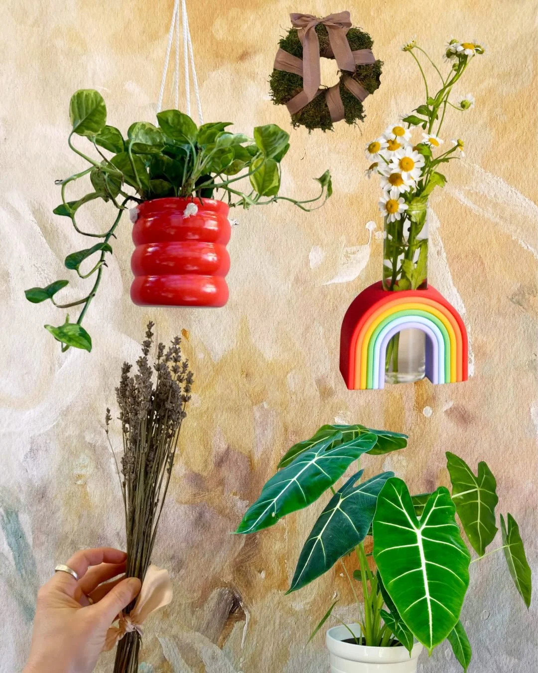 Planty and whimsical additions to your flowies this V-Day for all the peeps you love so very much &hearts;️🍒❤️&zwj;🔥🩰🩷