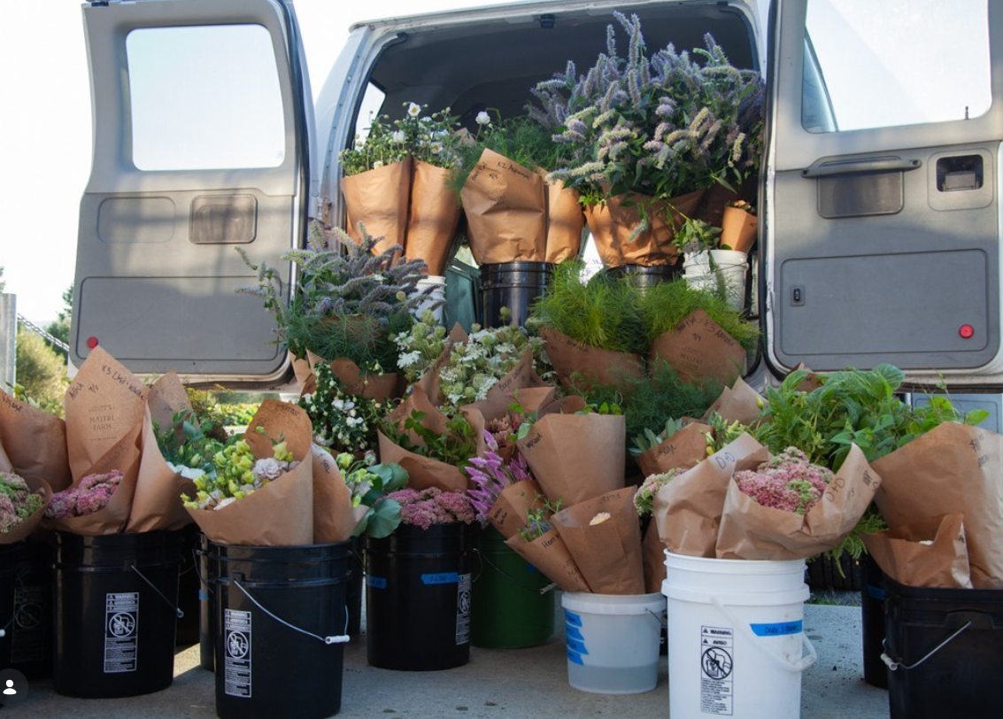 Screenshot 2026-03-11 164810.png