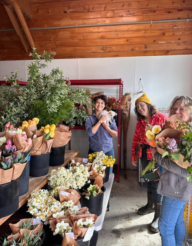 Screenshot 2026-03-11 162856.png