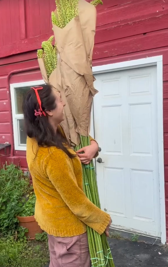 Screenshot 2026-03-11 163241.png