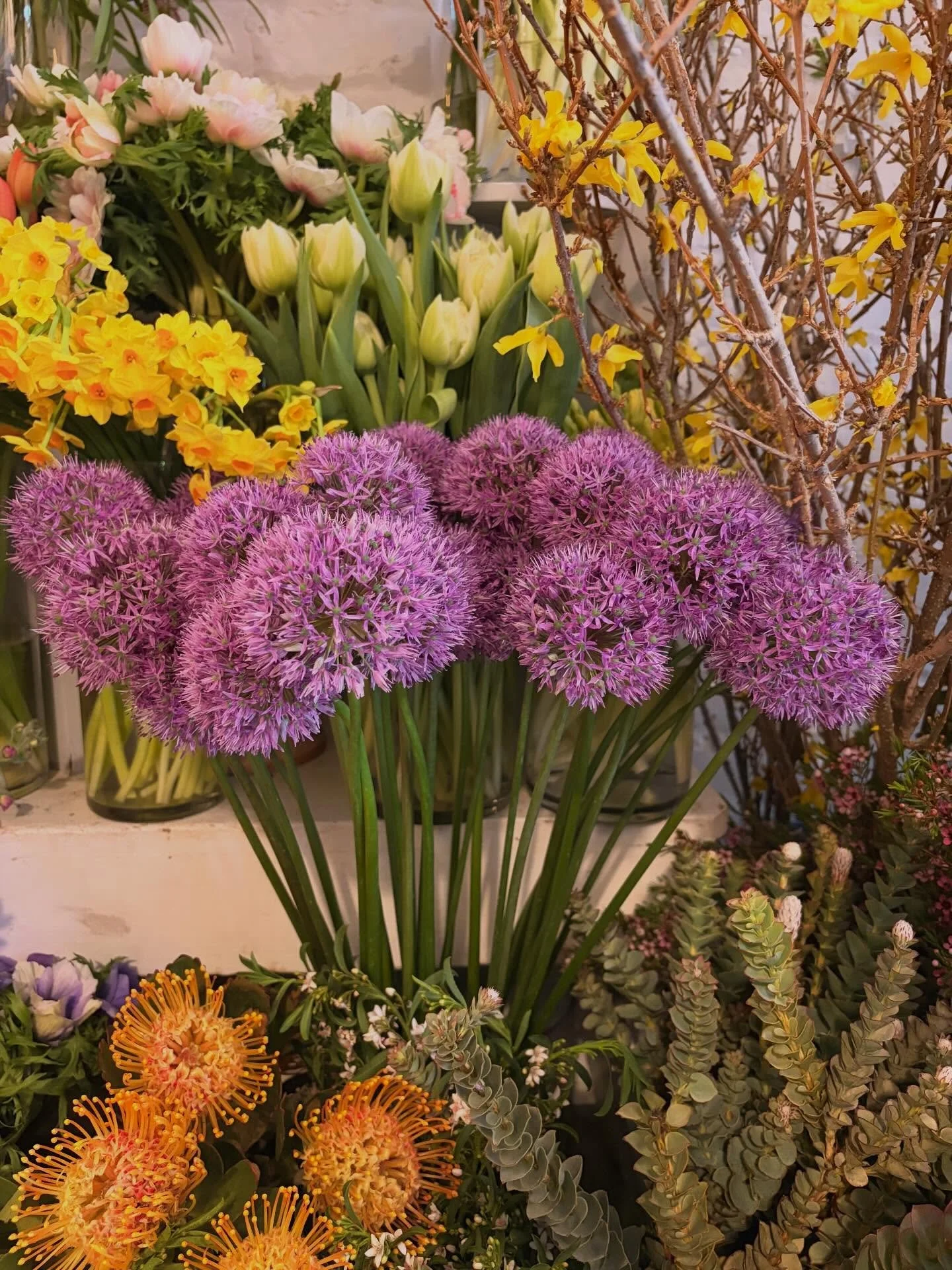 Happy Vernal equinox 🌿 We&rsquo;re filled with new blooms and buddies. See you soon 🪷