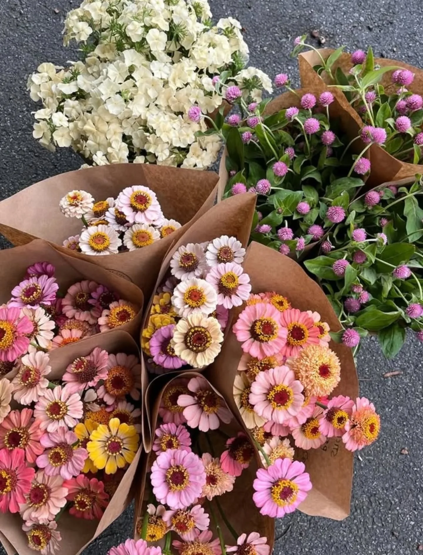For our next Farmer Friends Series we have Ellie Limpert telling the story of The Hudson Valley Flower Collective 🌼!

@hvflowercollective supplies the best local blooms from farms in this region and we&rsquo;re so happy they&rsquo;re here. Read up o