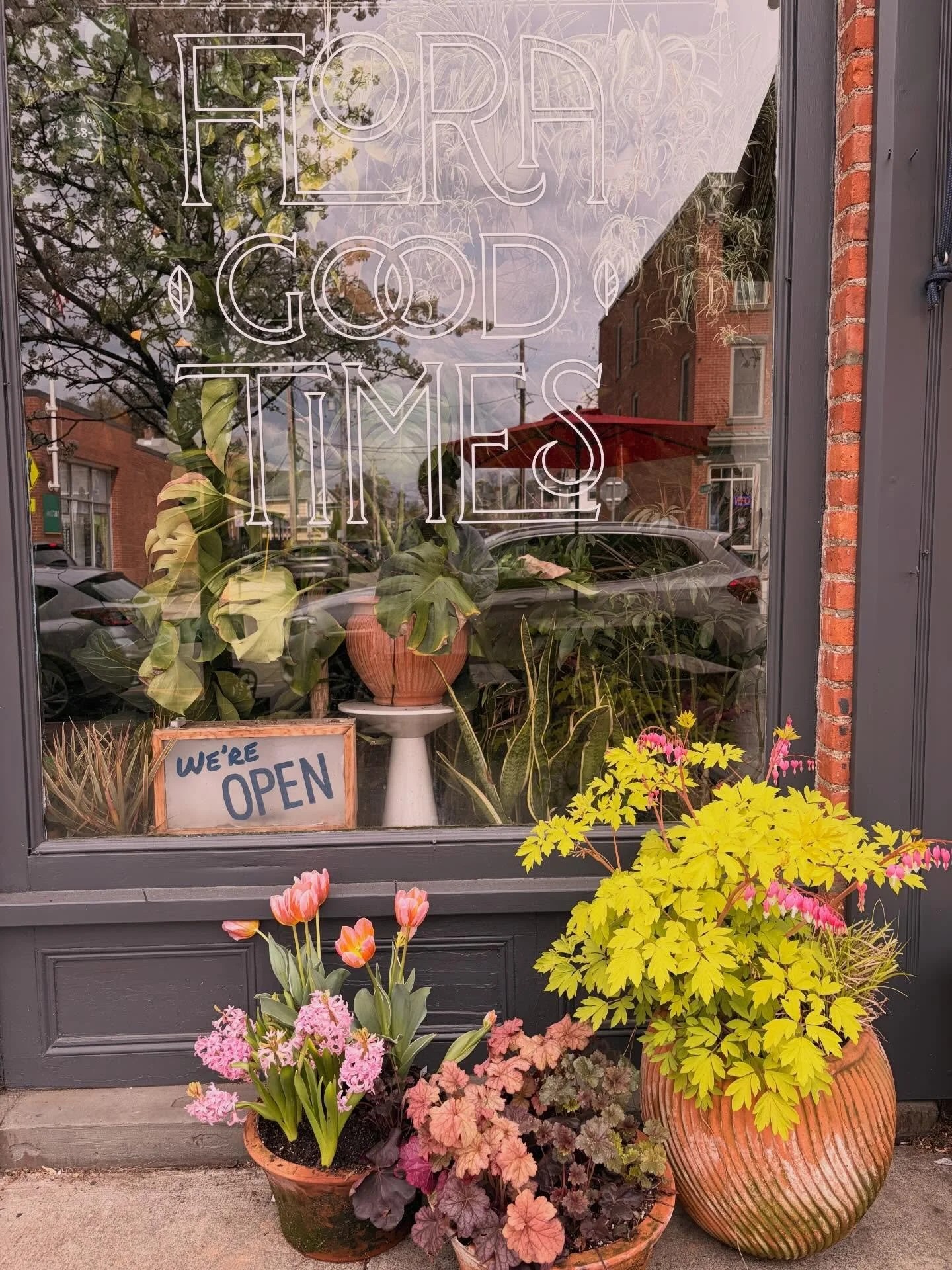 Sun is OUT! Flowers are OUT! New plants are OUT! Store is stocked!💫It&rsquo;s warm, sunny, green spring and it&rsquo;s the first abundant round of HV farm grown flowers on the bar 🤗 

Poppies grown by @foxtrotfarmflowers 
Stock grown by @titusville