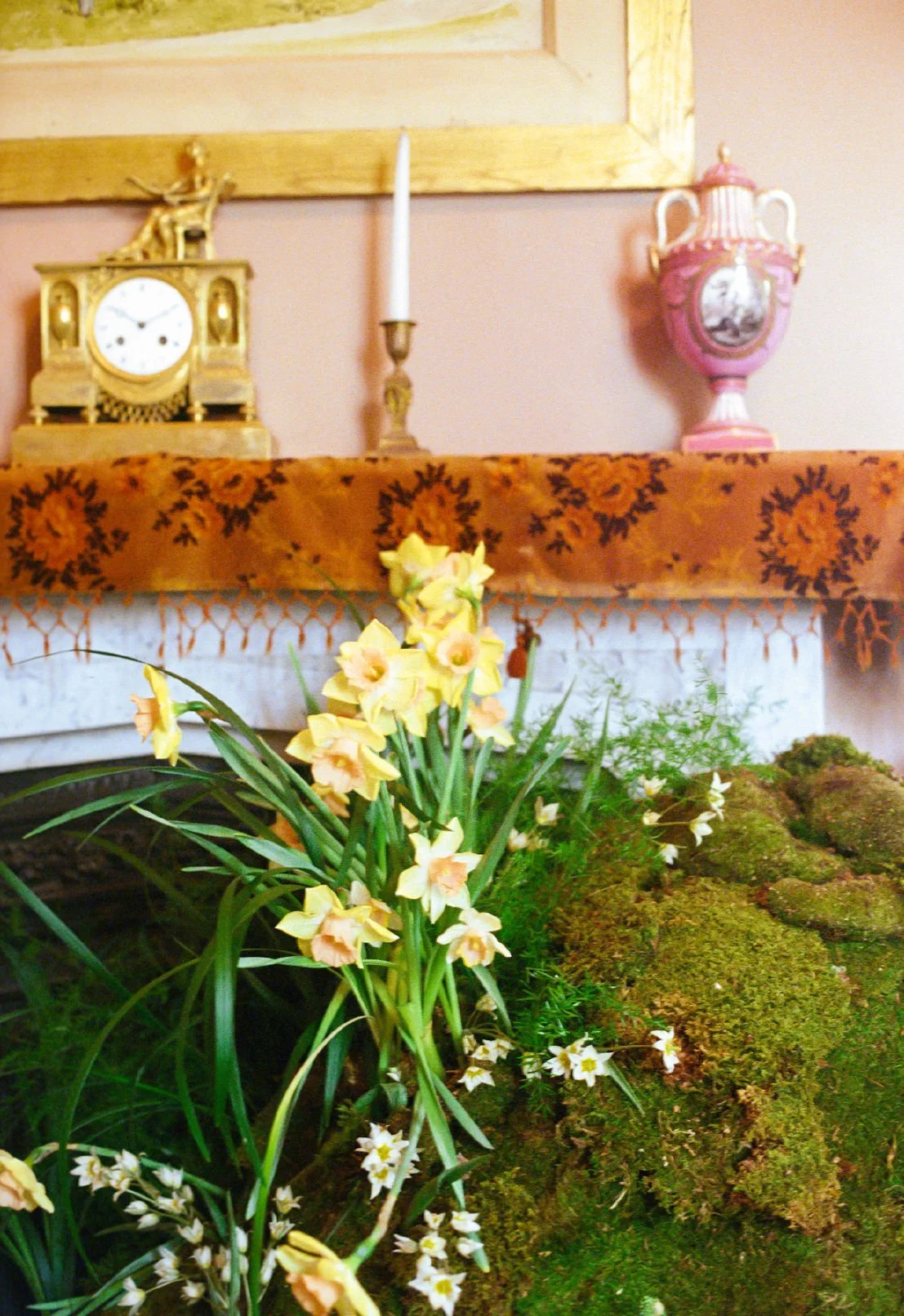  Lush clump of yellow and white tulips in room installation.  
