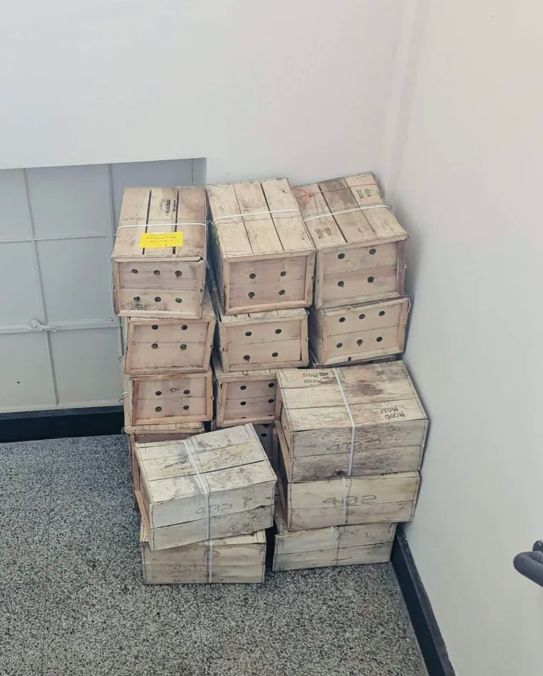  multiple wooden boxes stacked on top of each others  filled with earthy moss   