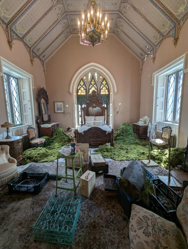  Large vintage room full of boxes, moss and a working florist 