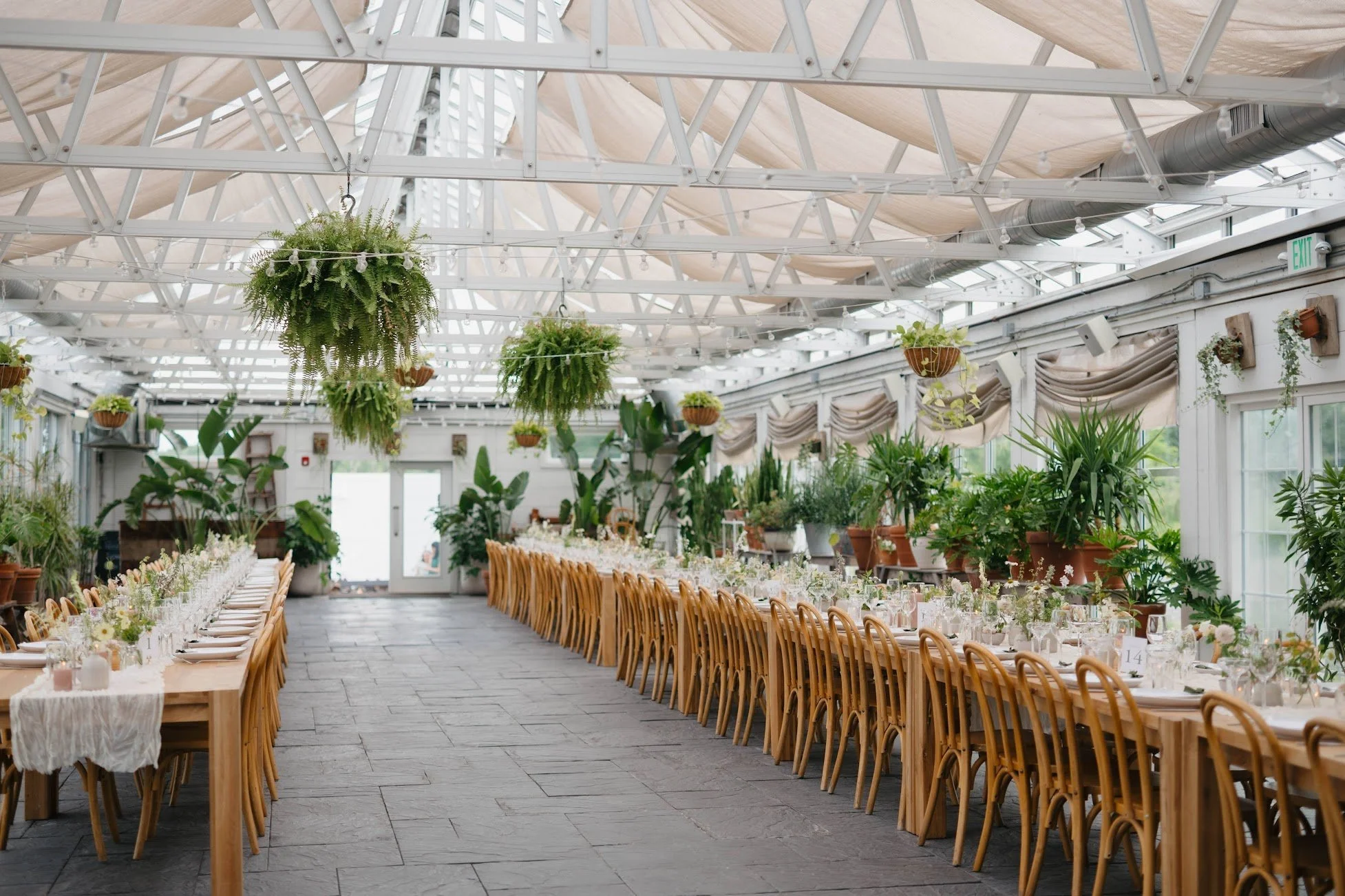  Audrey's greenhouse filled with long reception tables and designed by sustainable florist 
