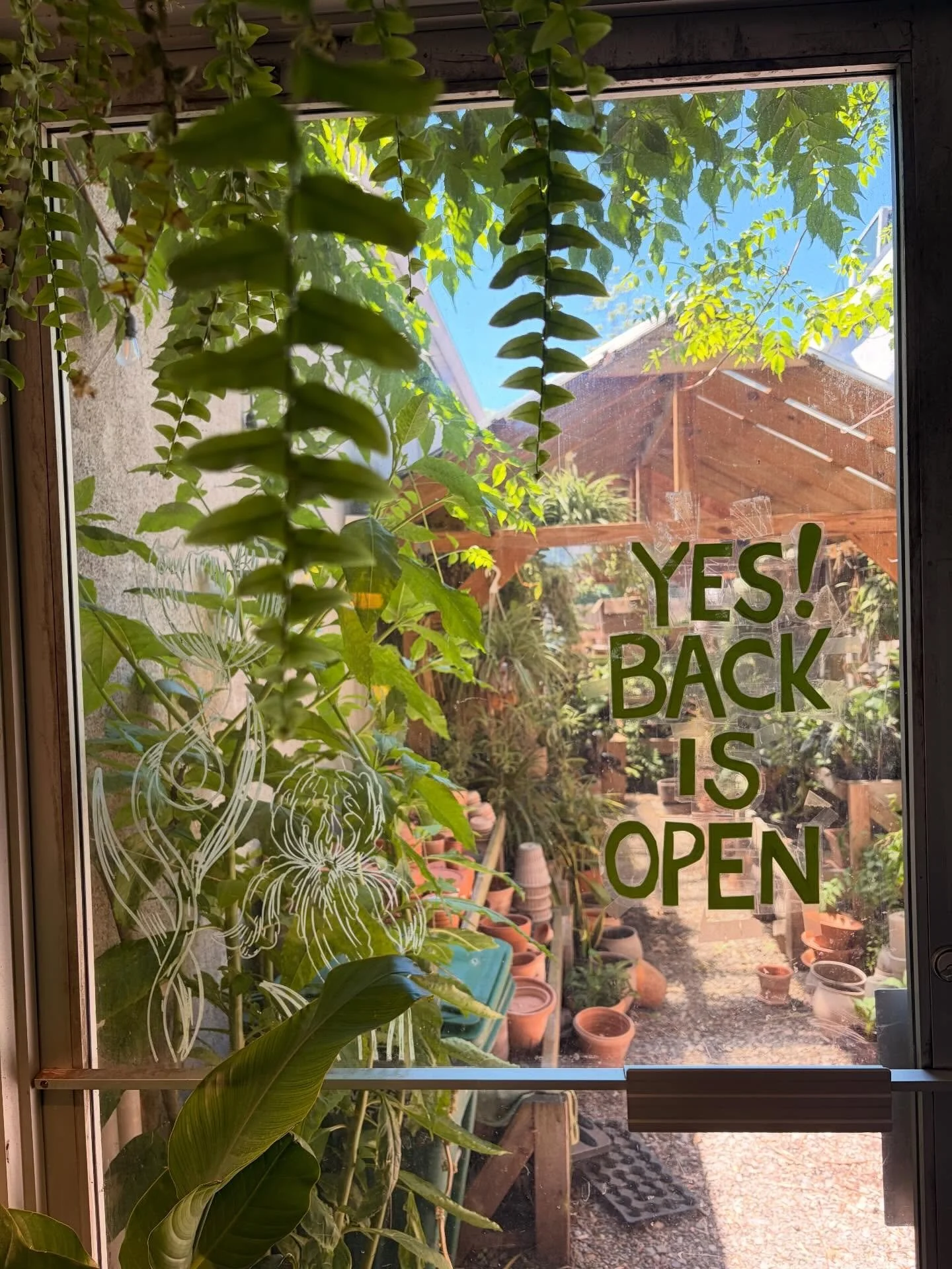 The shop this weekend is stocked and thriving 🪴🌸 stop on by 🍃💗