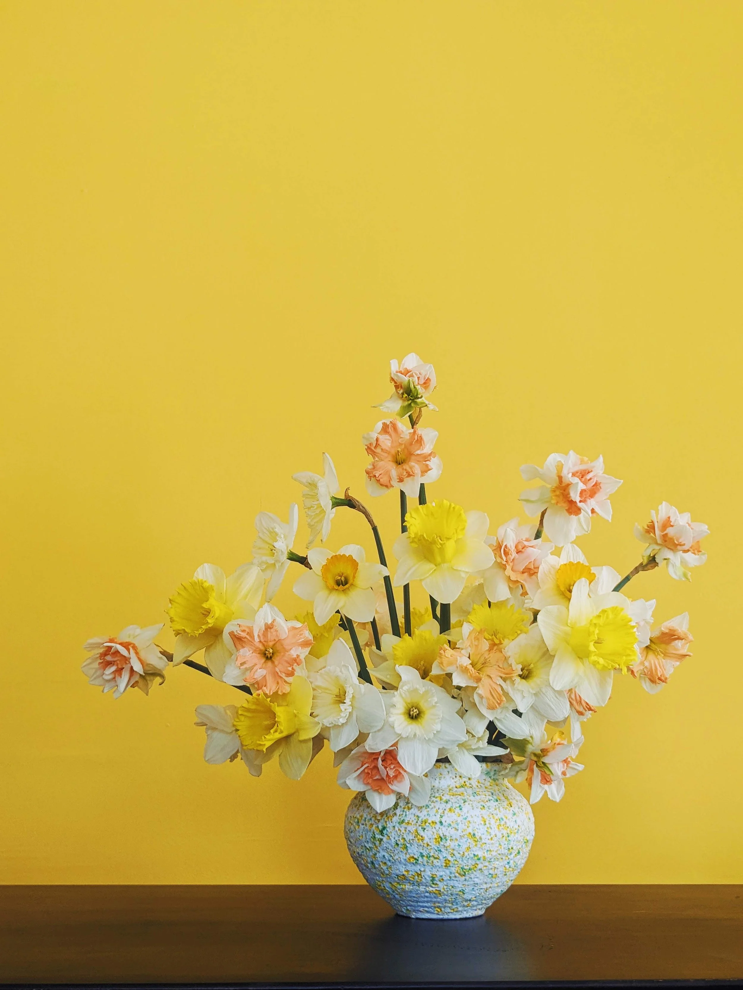  whimsical pastel colored daffodils sit in chic textured vase in a loose, just-gathered style 