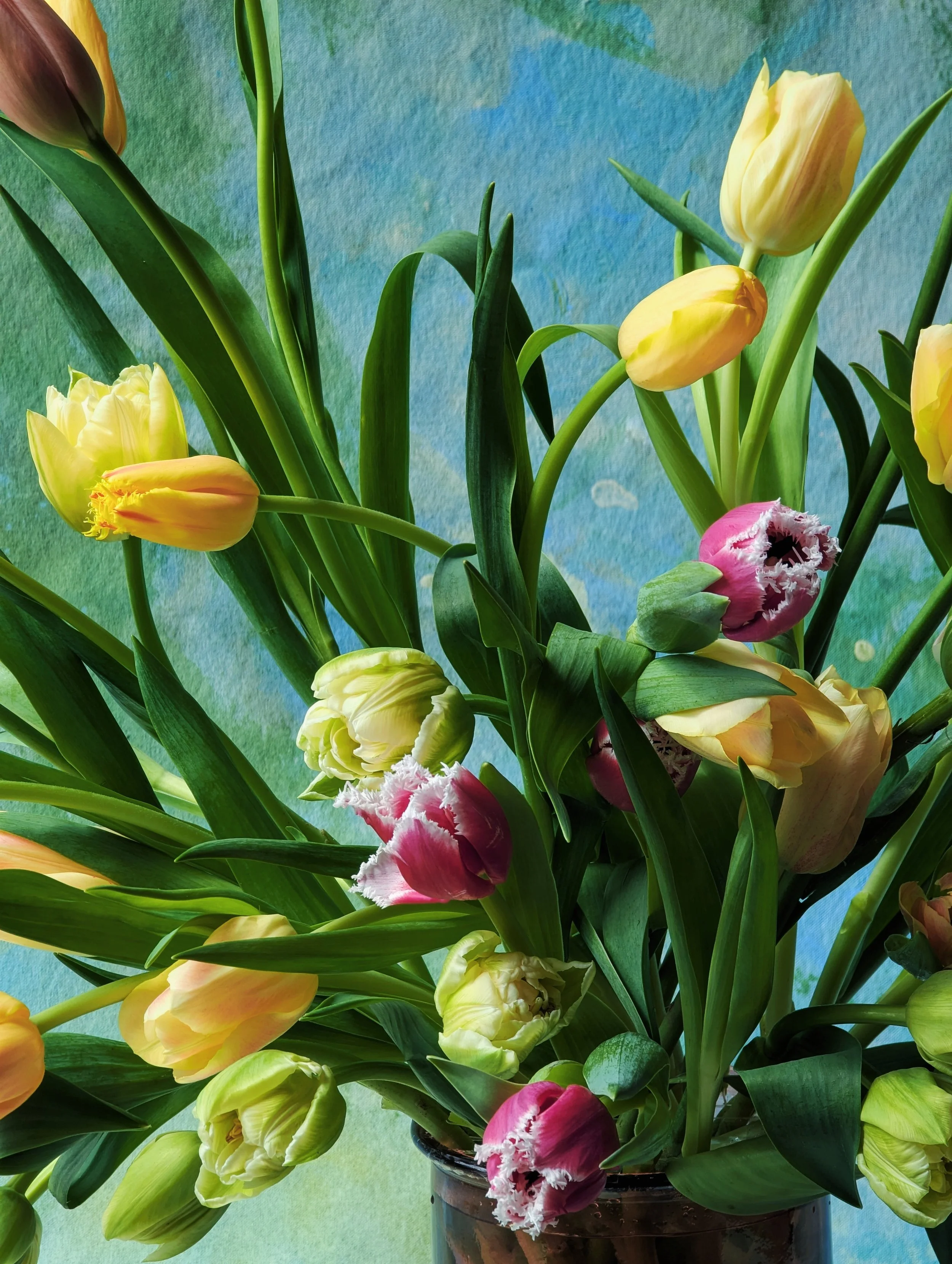  Vibrant, colorful tulips and long airy foliage in glass container 