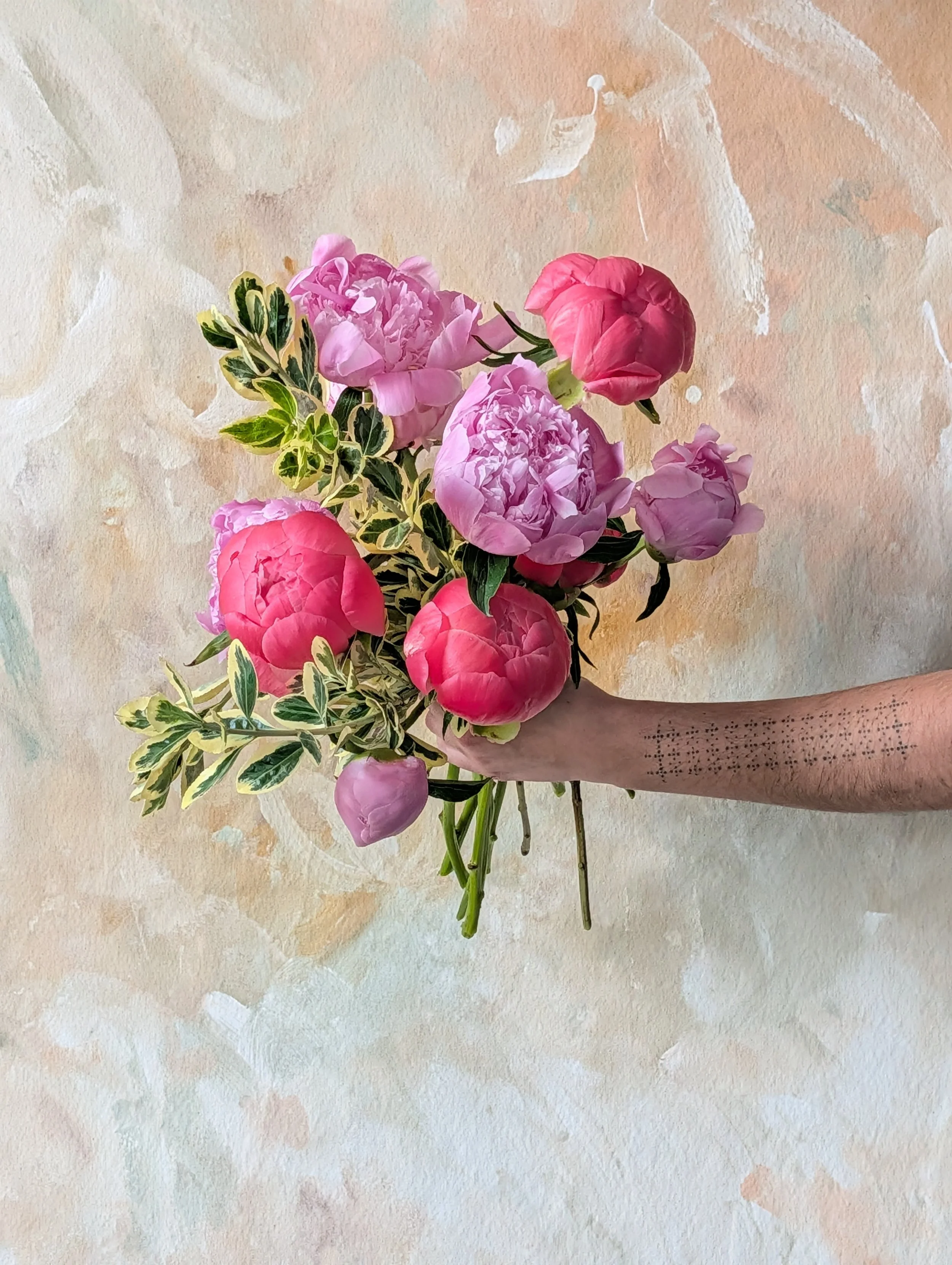 Large, striking organic handheld peony bunch with shiny green and white foliage 