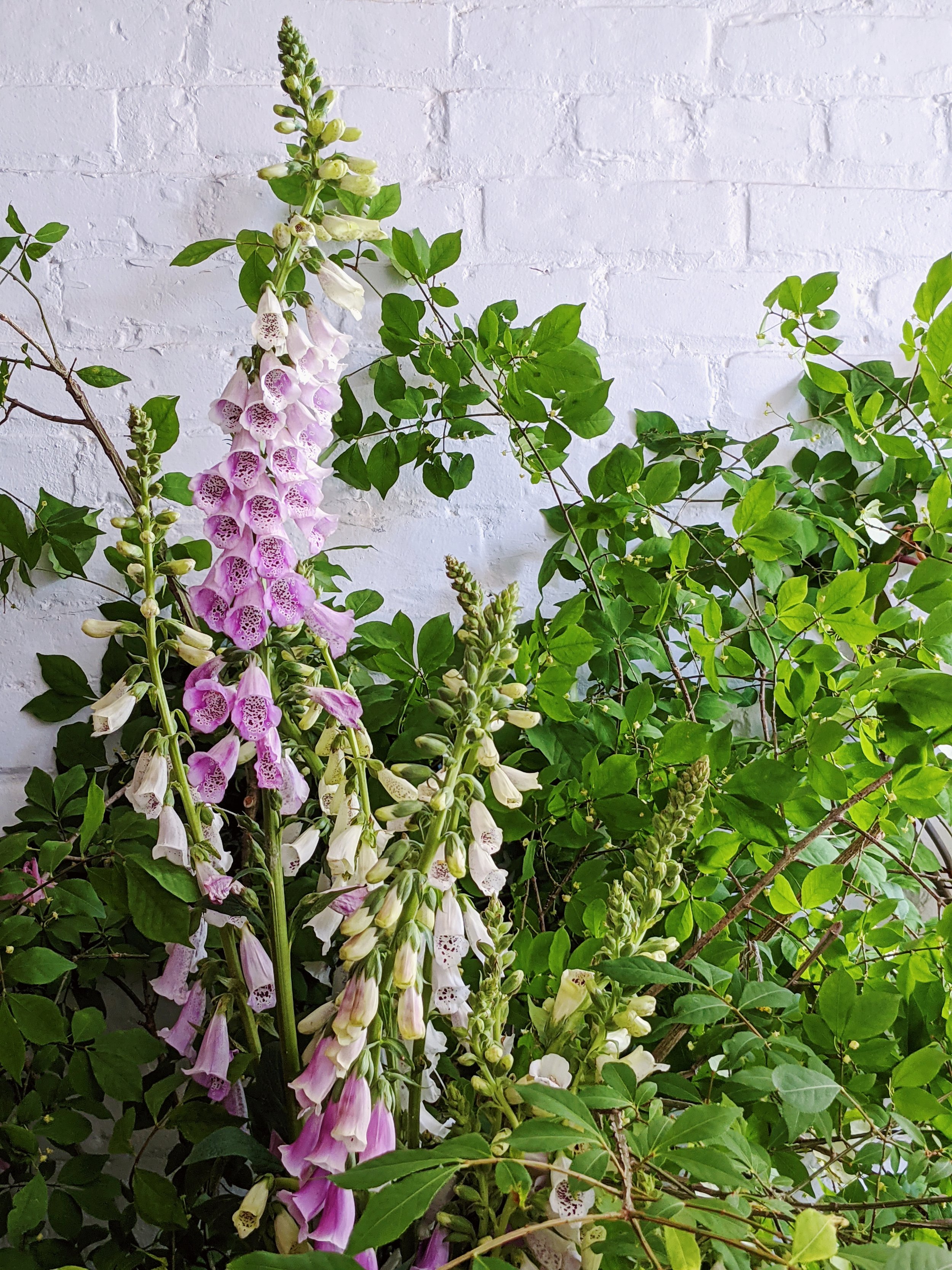  Trailing greenery and pastel pink and purple flowers 
