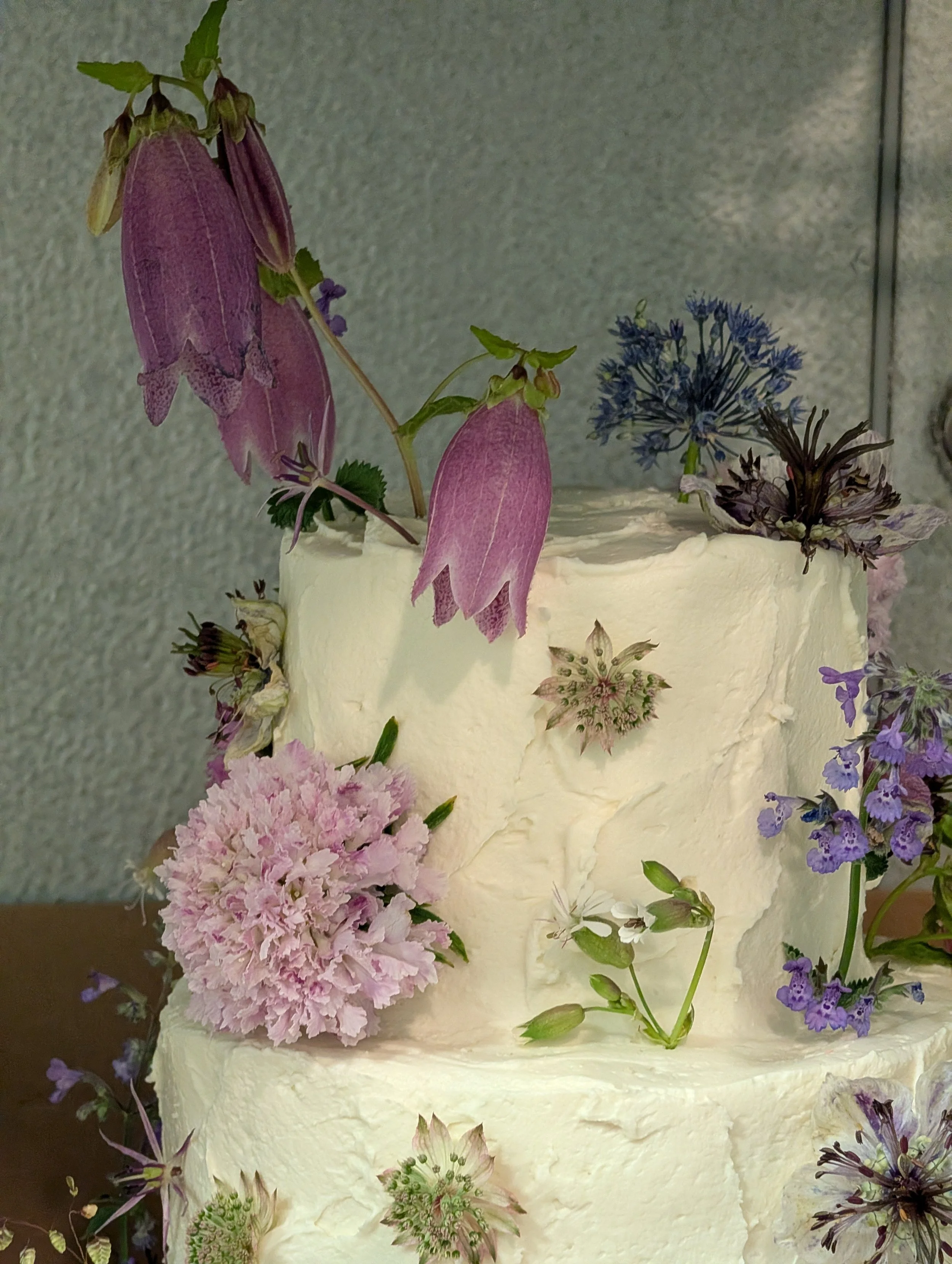  Various airy blossoms decorate white cake 