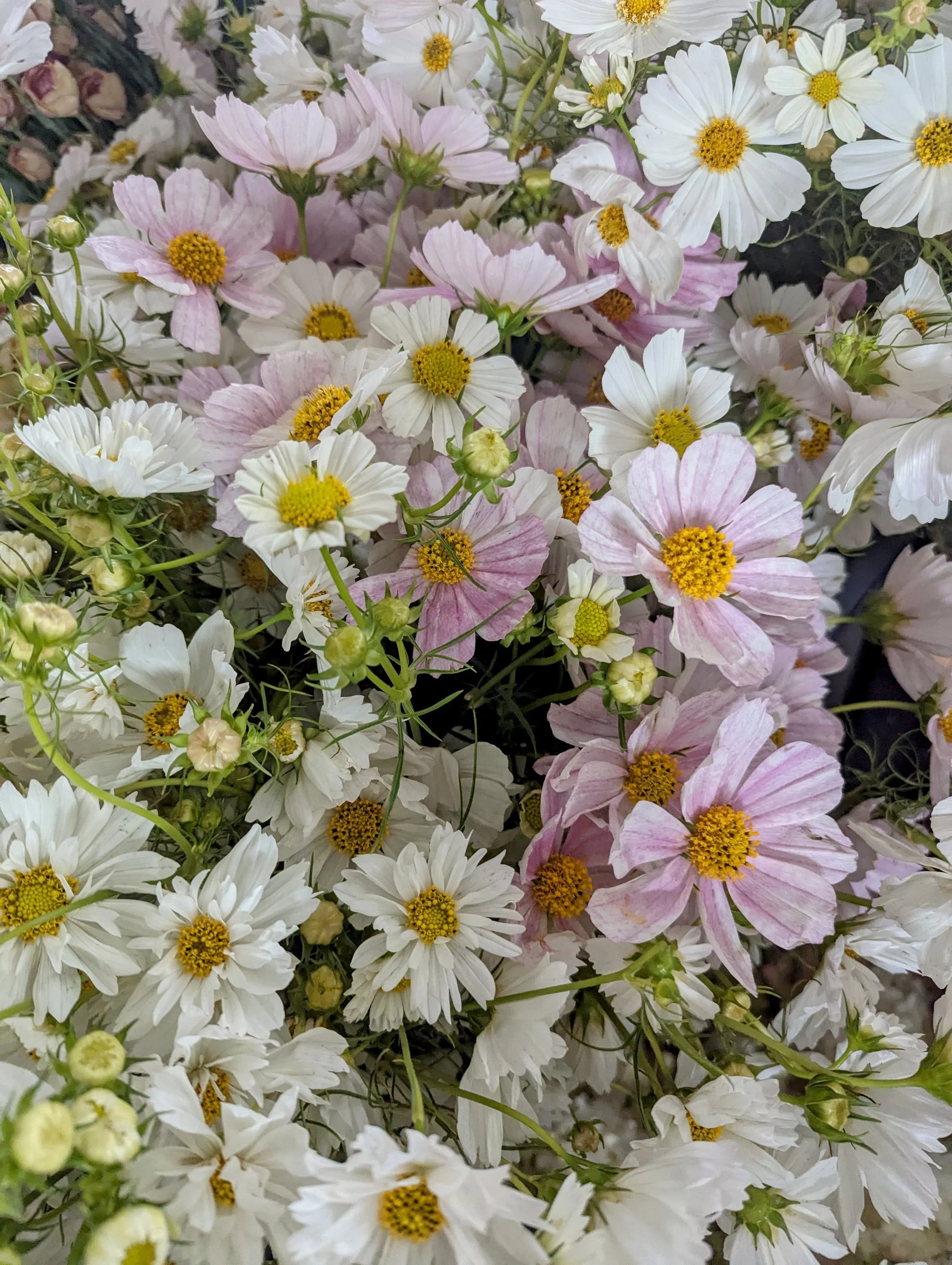  Delicate white blooms fill arrangement with these summer flower 